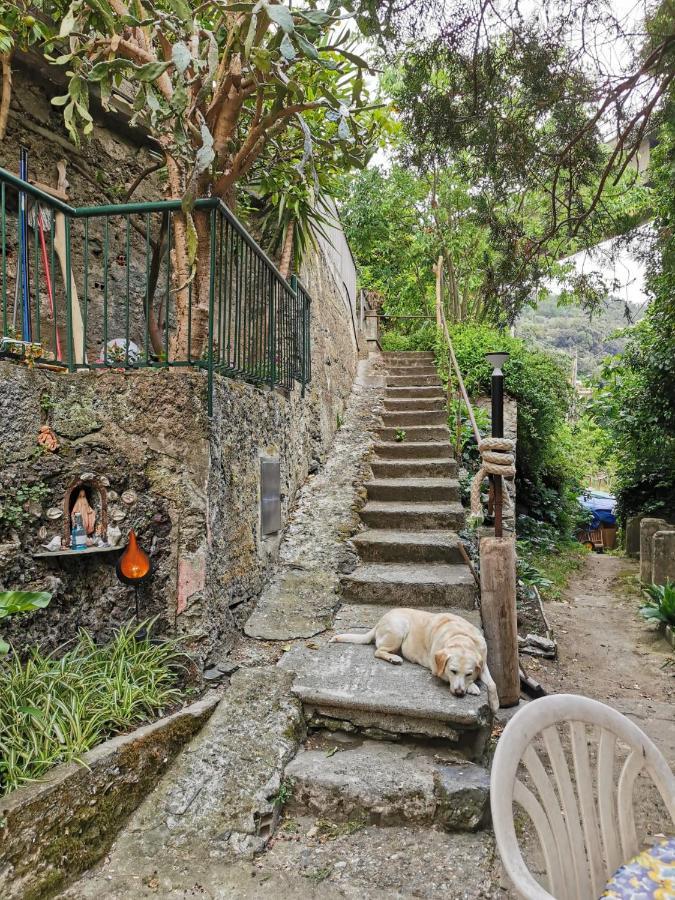 Hotel Itaca Varazze Exterior foto